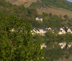 Ferienweingut Mosel - Weingut in Briedel an der Mosel