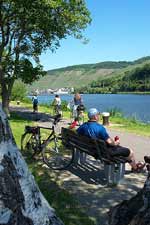 Urlaub Zell Mosel - Moselradweg bei St. Aldegund